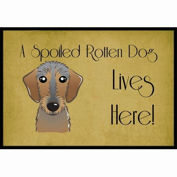 Caroline's Treasures BB1481MAT Wirehaired Dachshund Spoiled Dog Lives Here Door Mat, Indoor Rug or Outdoor Welcome Mat