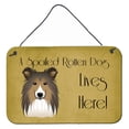 thumbnail image 1 of Carolines Treasures BB1490DS812 Sheltie Spoiled Dog Lives Here Wall and Door Hanging Prints, 1 of 2