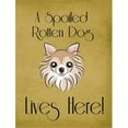 thumbnail image 1 of Caroline's Treasures BB1499GF Chihuahua Spoiled Dog Lives Here Flag Garden Size , Small, multicolor, 1 of 3