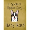 thumbnail image 1 of Carolines Treasures BB1503GF Tricolor Corgi Spoiled Dog Lives Here Flag Garden Size, 1 of 3