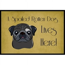 Caroline's Treasures BB1511MAT Black Pug Spoiled Dog Lives Here Door Mat, Indoor Rug or Outdoor Welcome Mat 18x27