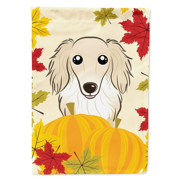 Carolines Treasures BB2018CHF Longhair Creme Dachshund Thanksgiving Canvas House Flag