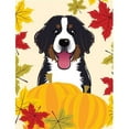 thumbnail image 1 of Carolines Treasures BB2043CHF Bernese Mountain Dog Thanksgiving Canvas House Flag, 1 of 4