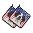 thumbnail image 1 of Carolines Treasures BB2176PTHD Flag and Saint Bernard Pair of Pot Holders , 7.5HX7.5W, multicolor, 1 of 3