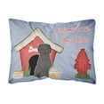thumbnail image 1 of Carolines Treasures BB2835PW1216 Dog House Collection Briard Black Canvas Fabric Decorative Pillow  12H x16W multicolor, 1 of 3
