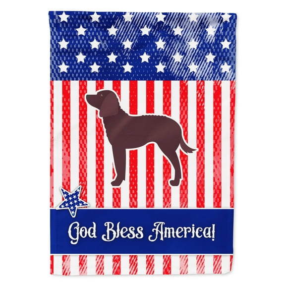 Carolines Treasures BB3301GF AUSA Patriotic merican Water Spaniel Flag Garden Size  Small multicolor