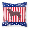 thumbnail image 1 of Caroline's Treasures BB3301PW1414 AUSA Patriotic merican Water Spaniel Fabric Decorative Pillow , 14Hx14W, multicolor, 1 of 4