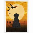 thumbnail image 1 of Caroline's Treasures BB4332GF Halloween Giant Schnauzer Flag Garden Size , Small, multicolor, 1 of 2