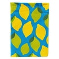 thumbnail image 1 of Carolines Treasures BB5150GF Lemons and Limes Flag Garden Size  Small multicolor, 1 of 3