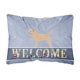 thumbnail image 1 of Carolines Treasures BB5493PW1216 Border Terrier Welcome Canvas Fabric Decorative Pillow, 12H x16W, multicolor, 1 of 3