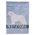 thumbnail image 1 of Carolines Treasures BB5519GF Spanish Water Dog Welcome Flag Garden Size  Small multicolor, 1 of 3