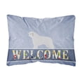 thumbnail image 1 of Carolines Treasures BB5519PW1216 Spanish Water Dog Welcome Canvas Fabric Decorative Pillow, 12H x16W, multicolor, 1 of 3