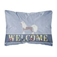 thumbnail image 1 of Carolines Treasures BB5547PW1216 Chinese Crested Welcome Canvas Fabric Decorative Pillow, 1 of 3