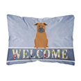 thumbnail image 1 of Carolines Treasures BB5692PW1216 Chinese Chongqing Dog Welcome Canvas Fabric Decorative Pillow, 12H x16W, multicolor, 1 of 3