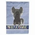 thumbnail image 1 of Caroline's Treasures BB5693CHF Chinese Crested Black Welcome Flag Canvas House Size , Large, multicolor, 1 of 4
