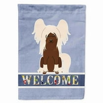 Caroline's Treasures BB5694CHF Chinese Crested Cream Welcome Flag Canvas House Size , Large, multicolor