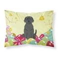 thumbnail image 1 of Carolines Treasures BB6057PILLOWCASE Easter Eggs Black Labrador Fabric Standard Pillowcase Standard multicolor, 1 of 2