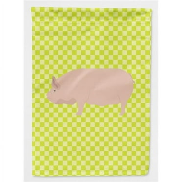 Carolines Treasures BB7763GF Welsh Pig Green Flag Garden Size