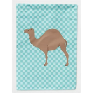 Carolines Treasures BB7993CHF F1 Hybrid Camel Blue Check Flag Canvas House