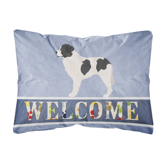 Carolines Treasures BB8331PW1216 Landseer Welcome Canvas Fabric Decorative Pillow, Blue, 12H x16W, multicolor