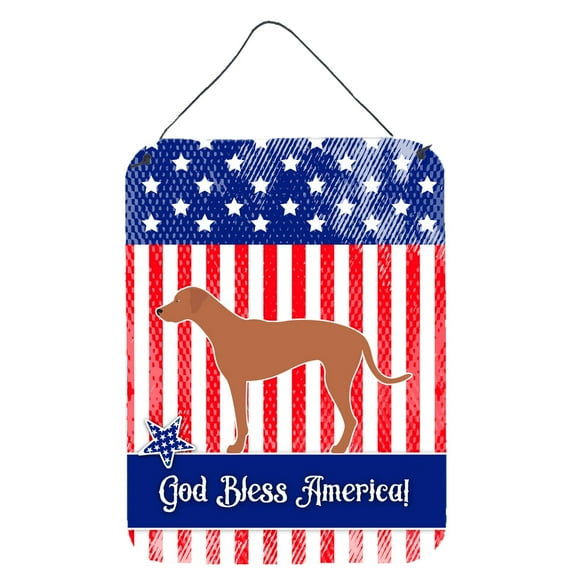 Carolines Treasures BB8358DS1216 Rhodesian Ridgeback American Wall or Door Hanging Prints 12x16 multicolor