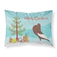 thumbnail image 1 of Carolines Treasures BB9321PILLOWCASE English Pouter Pigeon Christmas Fabric Standard Pillowcase Teal Standard multicolor, 1 of 2