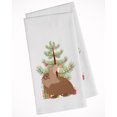 thumbnail image 1 of Carolines Treasures BB9327WTKT Lionhead Rabbit Christmas White Kitchen Towel Set of 2 Dish Towels Teal 19 X 25", 1 of 3