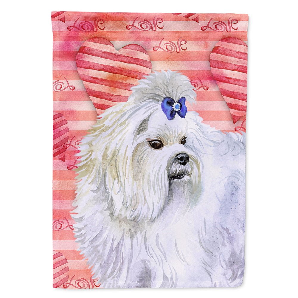 Maltese Love Flag Canvas House Size