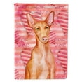 thumbnail image 1 of Carolines Treasures BB9802CHF Pharaoh Hound Love Flag Canvas House Size  Large multicolor, 1 of 4
