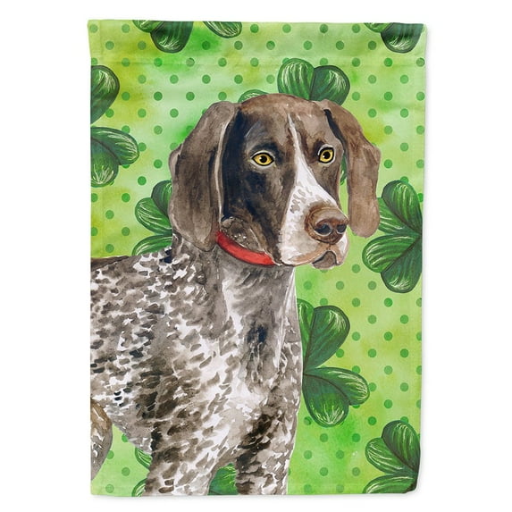 Carolines Treasures BB9815CHF German Shorthaired Pointer St Patricks Flag Canvas House Size  Large multicolor