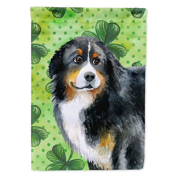 Carolines Treasures BB9819CHF Bernese Mountain Dog St Patricks Flag Canvas House Size Large multicolor