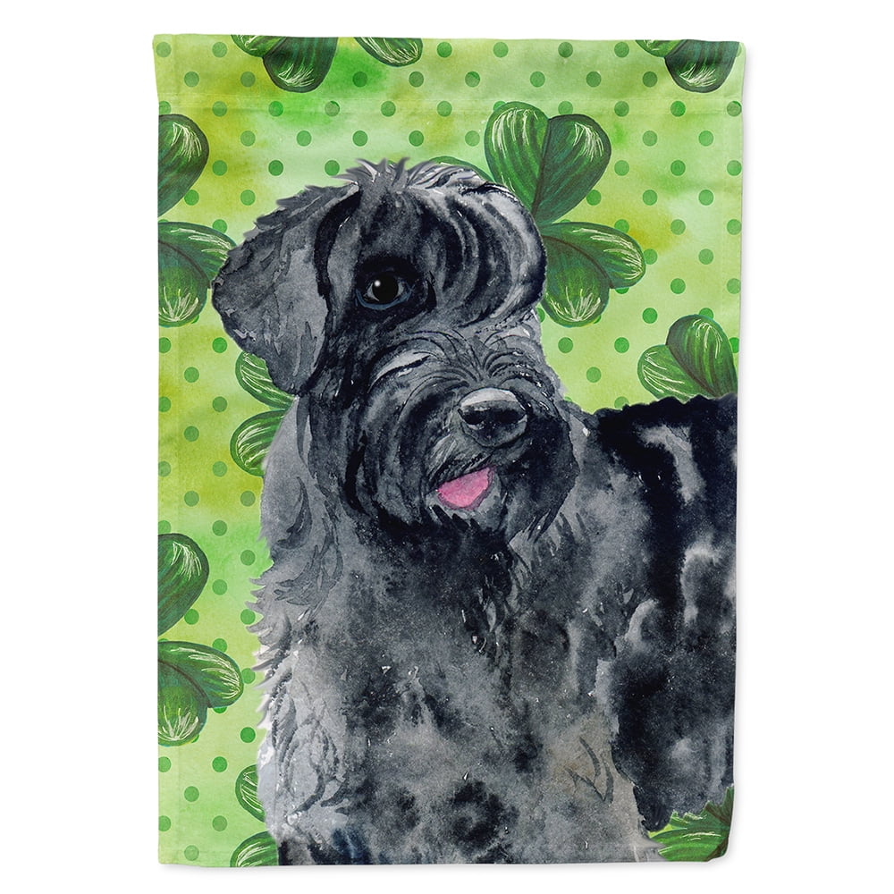Carolines Treasures BB9834CHF Giant Schnauzer St Patricks Flag Canvas House Size  Large multicolor