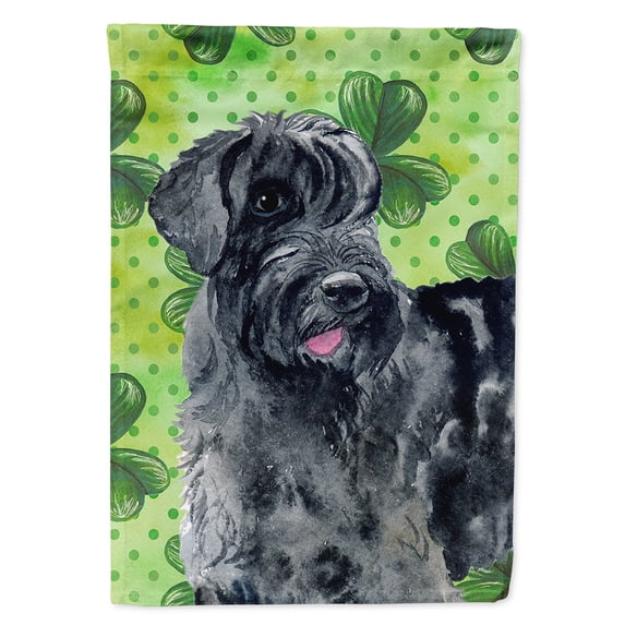 Carolines Treasures BB9834CHF Giant Schnauzer St Patricks Flag Canvas House Size Large multicolor