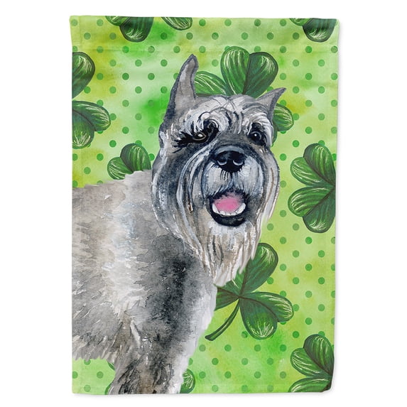 Carolines Treasures BB9836CHF Schnauzer St Patricks Flag Canvas House Size Large multicolor