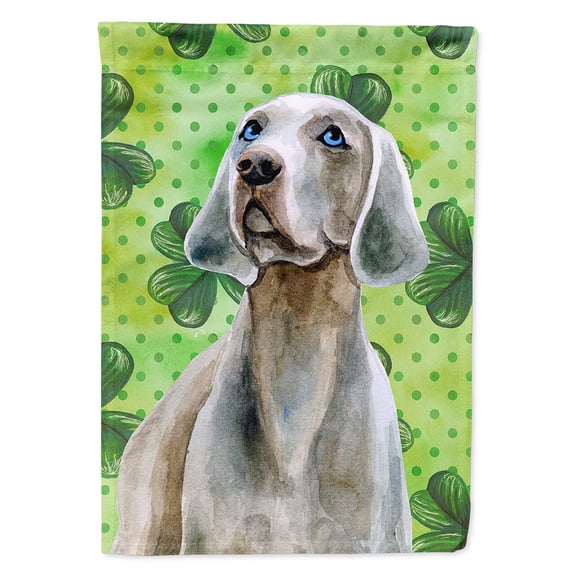Carolines Treasures BB9848CHF Weimaraner St Patricks Flag Canvas House Size Large multicolor