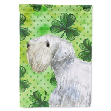 Carolines Treasures BB9858GF Sealyham Terrier St Patricks Flag Garden Size  Small multicolor