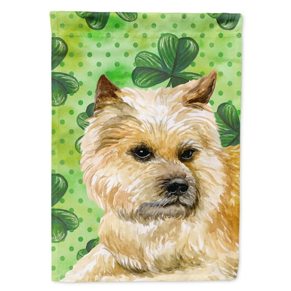 Carolines Treasures BB9864GF Cairn Terrier St Patricks Flag Garden Size  Small multicolor