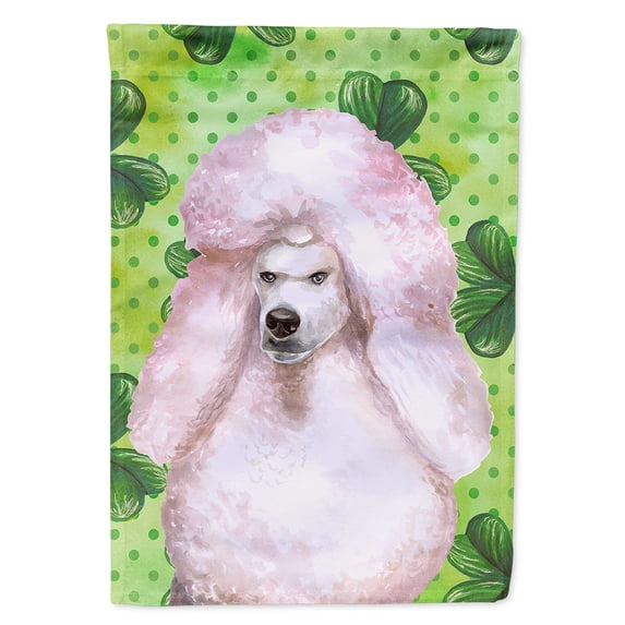 Carolines Treasures BB9891CHF White Standard Poodle St Patricks Flag Canvas House Size  Large multicolor