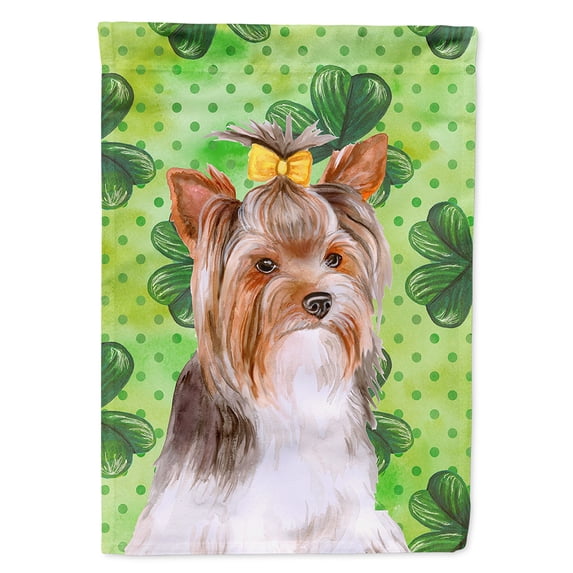 Carolines Treasures BB9897CHF Yorkshire Terrier 2 St Patricks Flag Canvas House Size Large multicolor