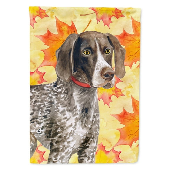 Carolines Treasures BB9902GF German Shorthaired Pointer Fall Flag Garden Size  Small multicolor