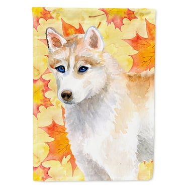 Carolines Treasures BB9916CHF Siberian Husky Fall Flag Canvas House Size  Large multicolor