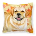 thumbnail image 1 of Carolines Treasures BB9925PW1818 Golden Retriever Fall Fabric Decorative Pillow  18H x18W multicolor, 1 of 2
