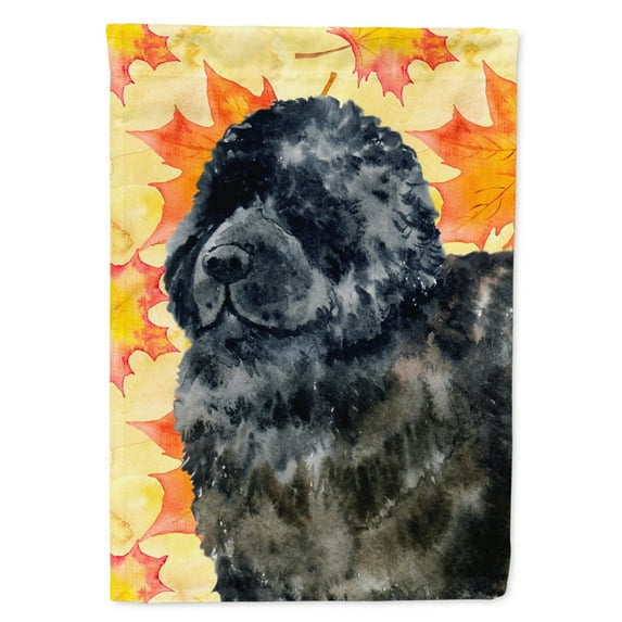 Carolines Treasures BB9932GF Newfoundland Fall Flag Garden Size  Small multicolor