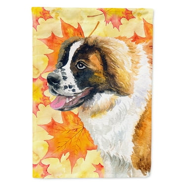 Carolines Treasures BB9940CHF Saint Bernard Fall Flag Canvas House Size  Large multicolor