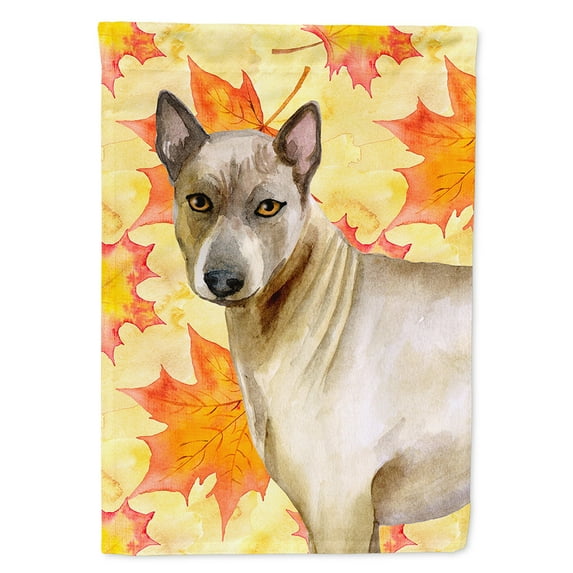 Carolines Treasures BB9941CHF Thai Ridgeback Fall Flag Canvas House Size  Large multicolor