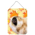 thumbnail image 1 of Carolines Treasures BB9942DS1216 Pekingese Fall Wall or Door Hanging Prints Yellow 12WX16H multicolor, 1 of 2