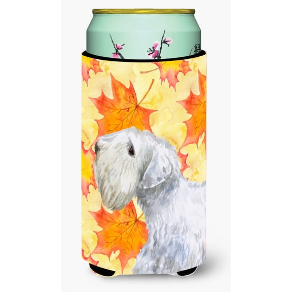 Carolines Treasures BB9945TBC Sealyham Terrier Fall Tall Boy Beverage Insulator Hugger  Tall Boy multicolor
