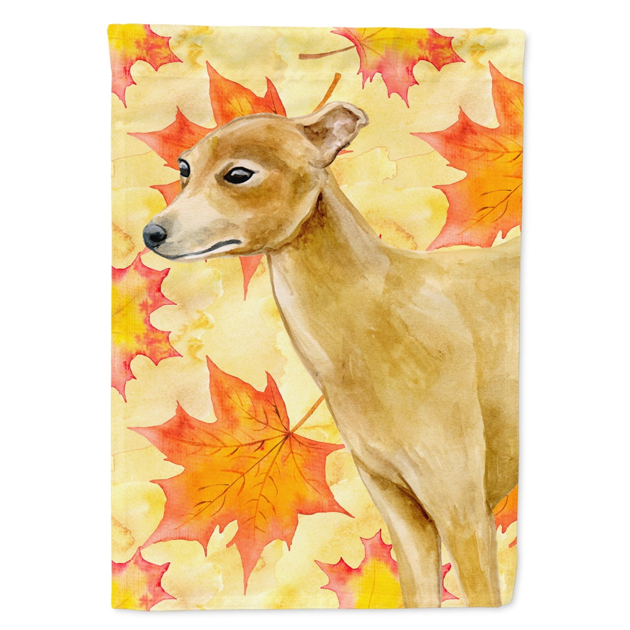 Carolines Treasures BB9959GF Italian Greyhound Fall Flag Garden Size  Small multicolor