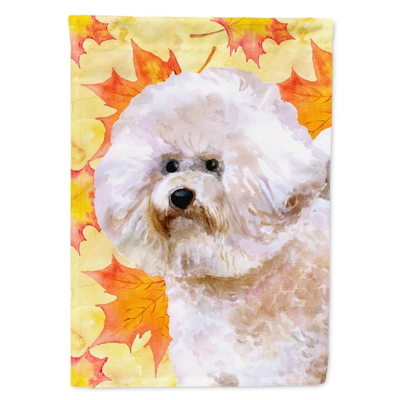 Carolines Treasures BB9966GF Bichon Frise 2 Fall Flag Garden Size Small multicolor