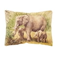 thumbnail image 1 of Carolines Treasures BDBA0112PW1216 Elephants by Daphne Baxter Fabric Decorative Pillow 12H x16W multicolor, 1 of 3